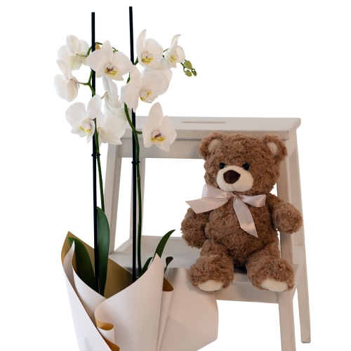 Pure Elegance – Orhidee & Kaisukaru