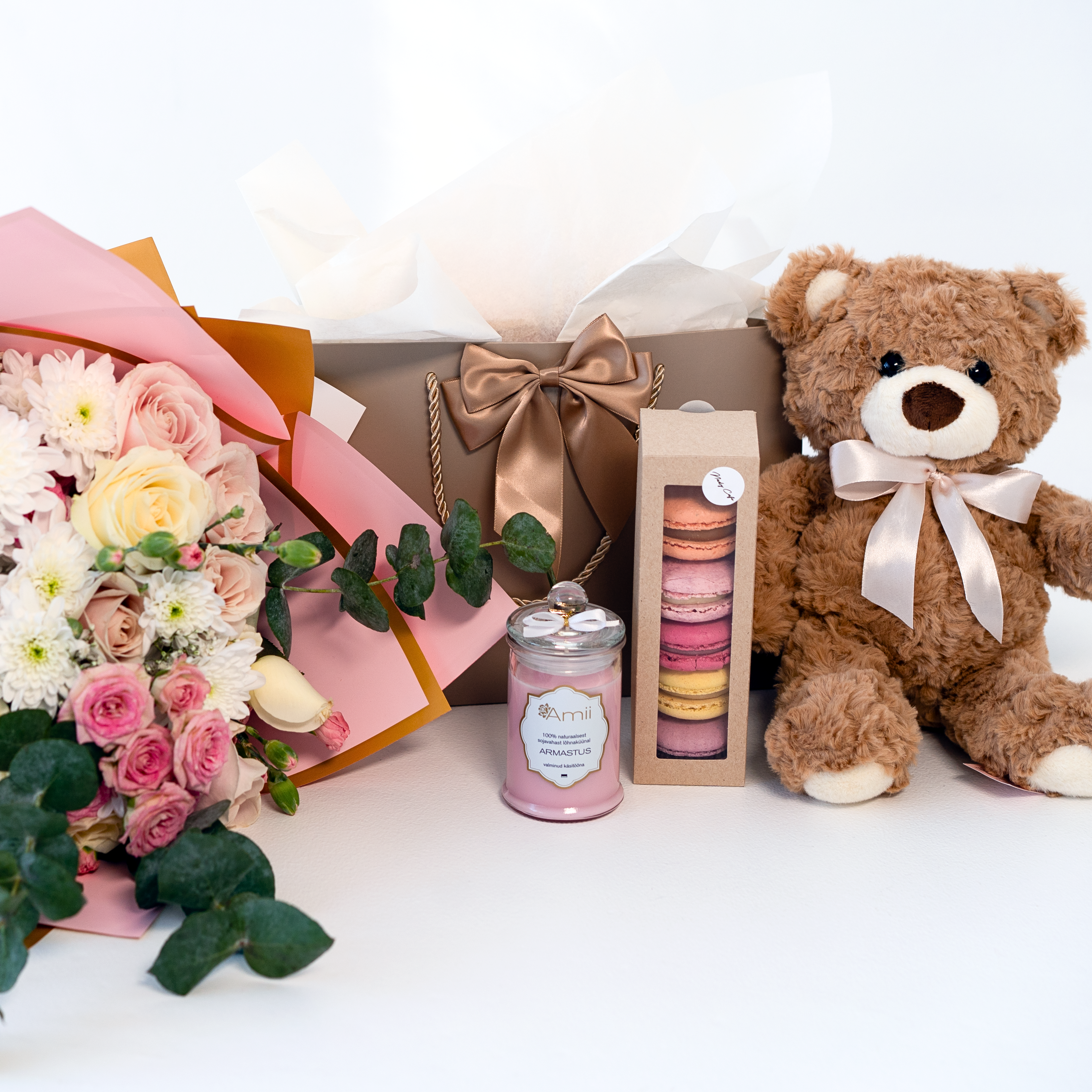 Komplekt 1 taustaga pruun karu.png